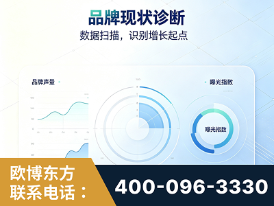 桐乡-品牌现状诊断