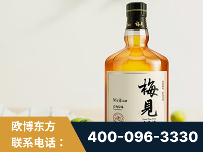 桐乡-梅见青梅酒